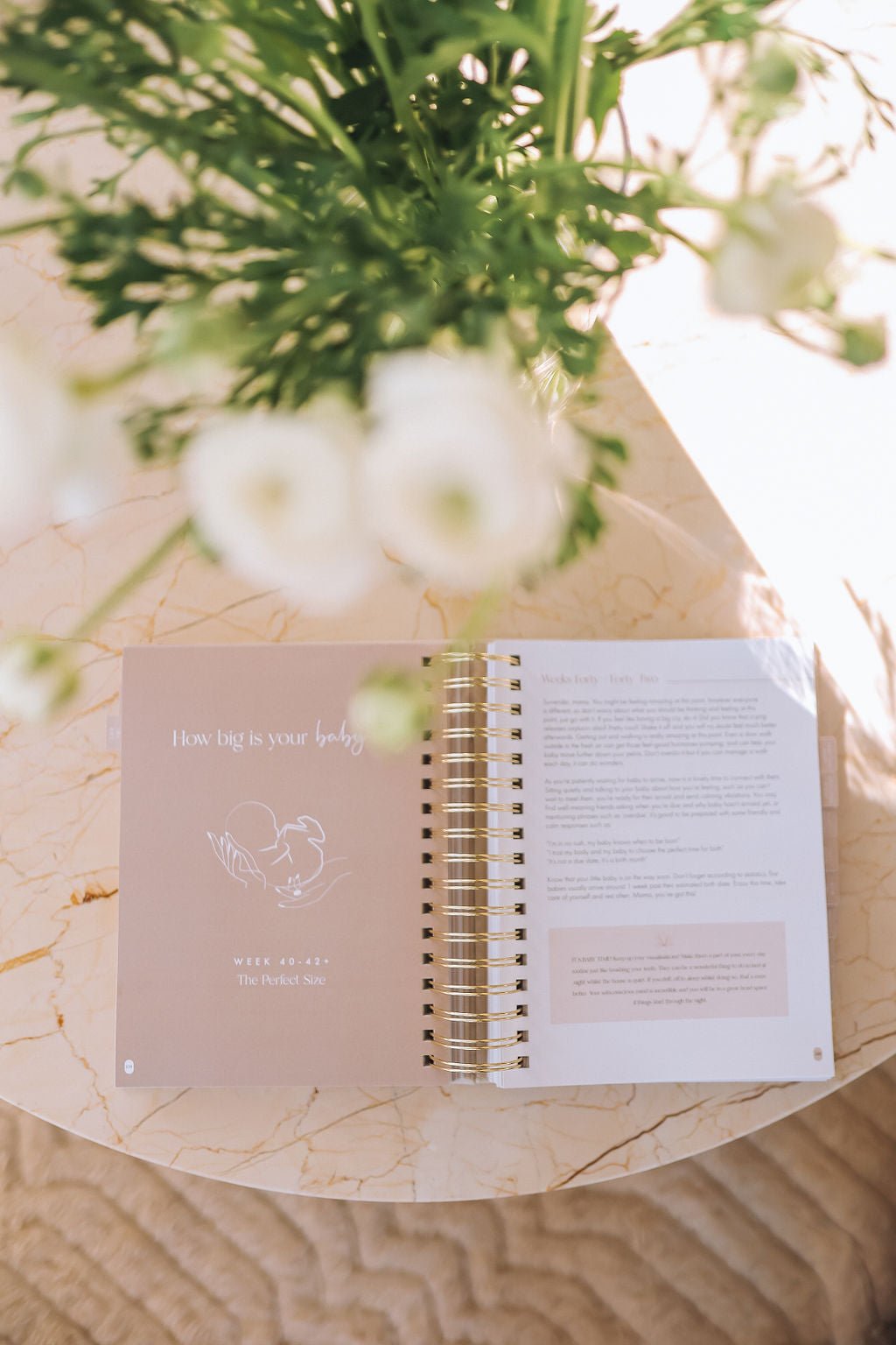 Planner & Pregnancy Milestone Set Bundle - Your Mindful Mama