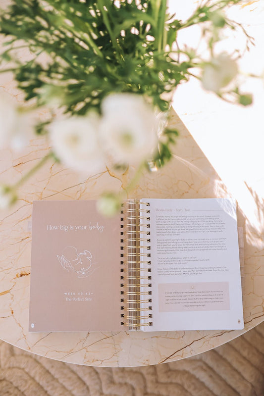 Pregnancy Journal & Birth Planner | All-In-One Pregnancy Planner - Your Mindful Mama